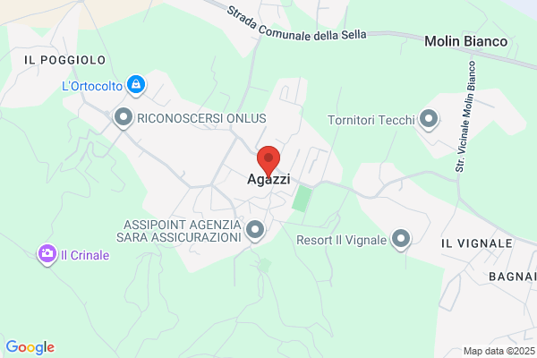 Agazzi, Ruben D.