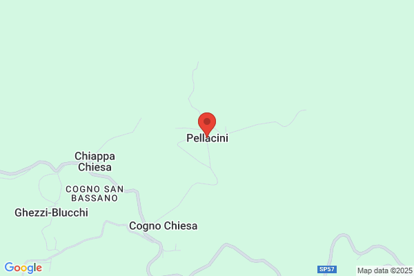 Pellacini, Julio R.