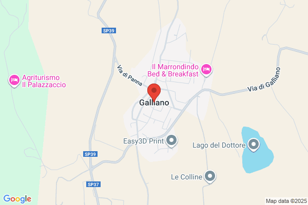 Roberto J. Galliano