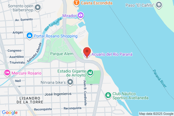 ACUARIO BETTA ROSARIO