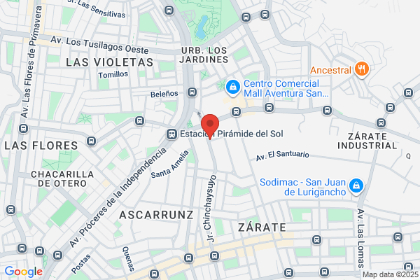 Metalurgica Alianza S. R. L.