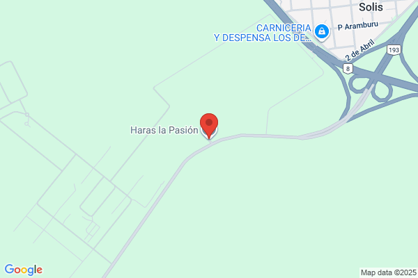 Haras Las Ortigas Saag