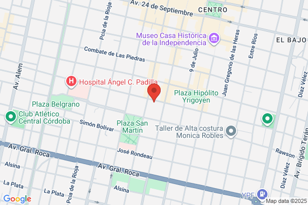 Palazon S.A. Carlos