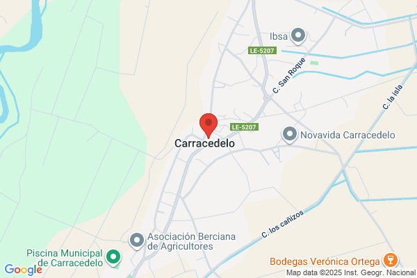 Carracedo J. J.