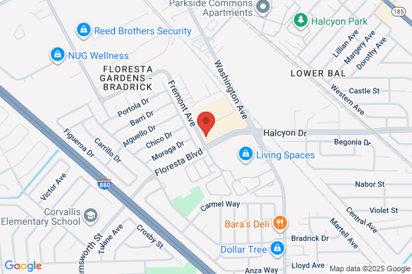 Floresta Dental