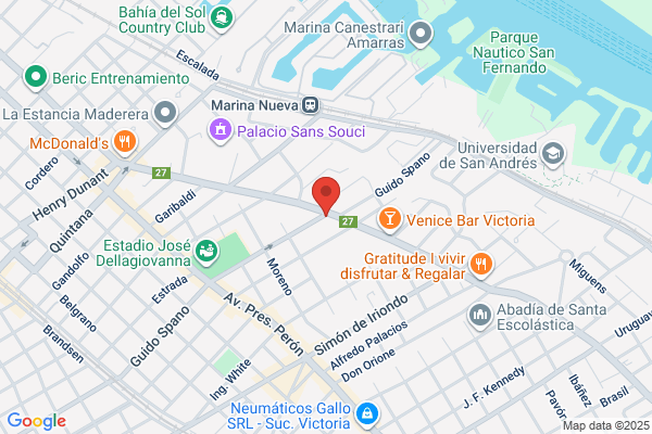 Las Dos Vicuñas