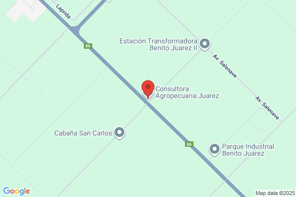 Consultora Agropecuaria