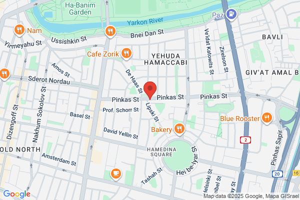 Bank Hapoalim BM, Representacion