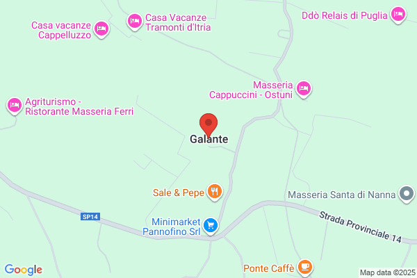 Galante, Nestor