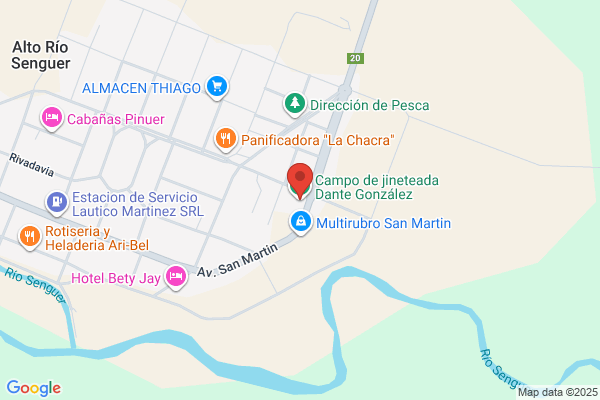 Ingeniero Dante Llera