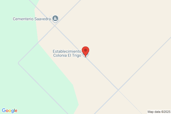 Saavedra, Pedro J