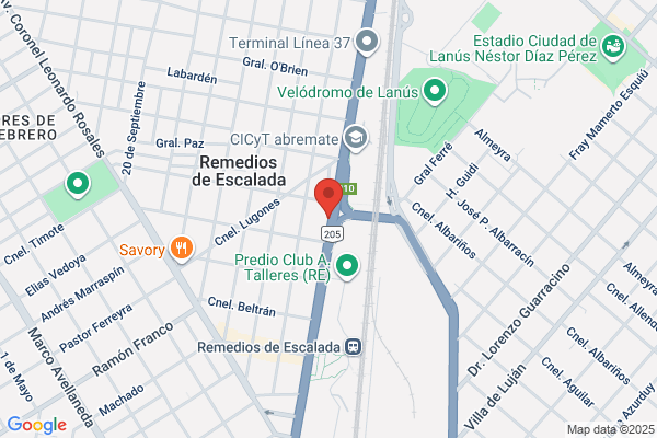 Escuela Bellas Artes De Lanus