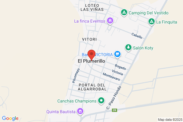 El Plumerillo