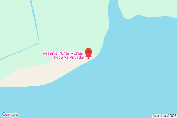 Punta Moran S.A.