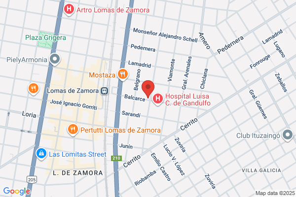 Fundacion Hastinapura