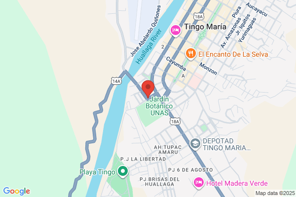 Multiservicio Lar