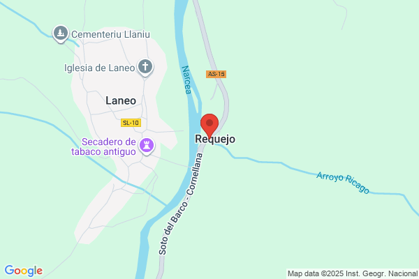 Requejo Ferro Y Cia. S.A.