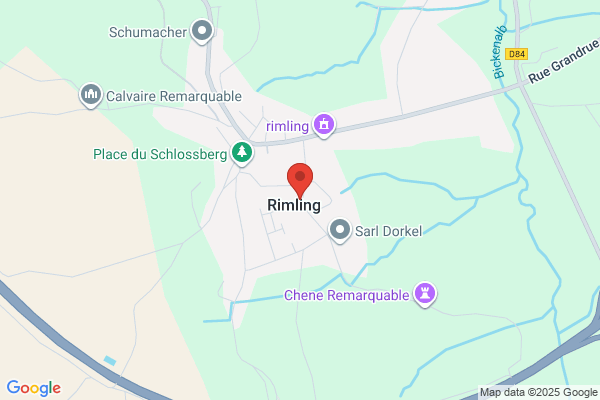 Rinilg