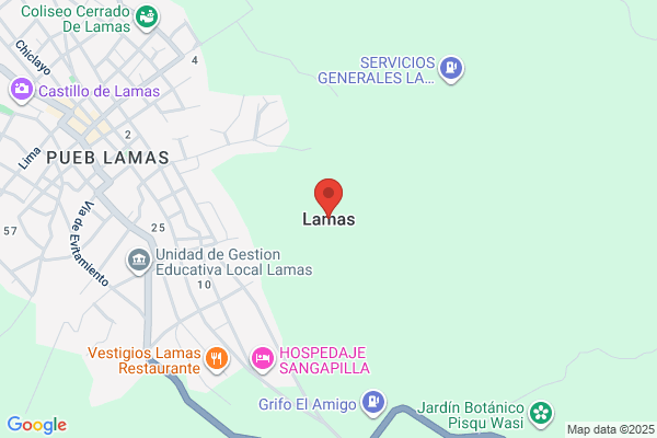 Lamas, Gustavo