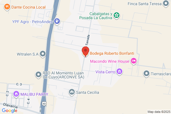 Bonfanti E Hijos Icsa