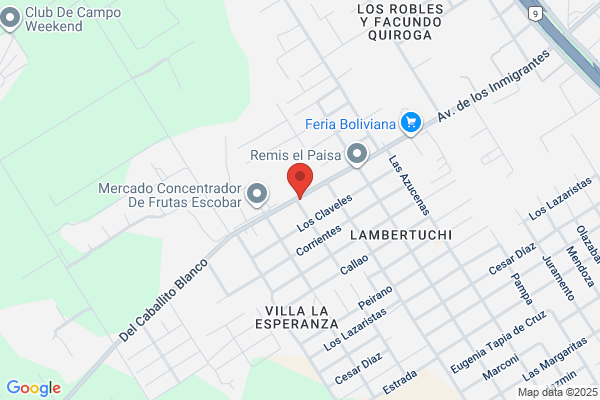 Caledonia Argentina Cia. De Seguros S.A.