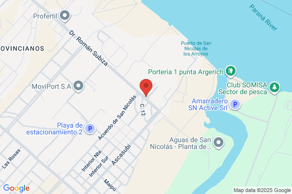 Central Termica San Nicolas S.A.