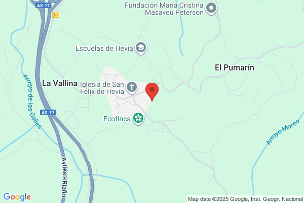 Hevia, Vicente