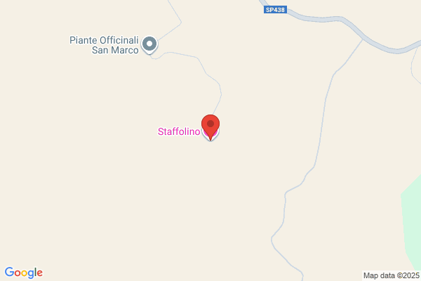 Staffolarini, Jose A.