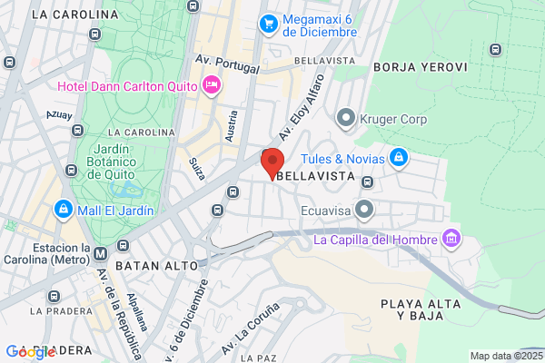 Nexo Servicios De Traduccion