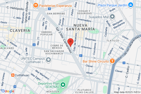Global Trade & Asociados