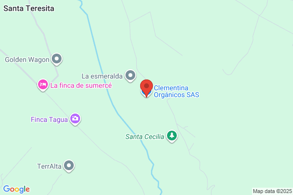 Quinta Clementina Vegelisto S.A.