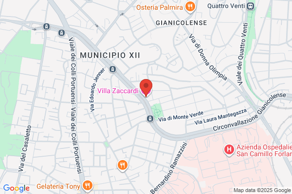 Zaccardi Televisión