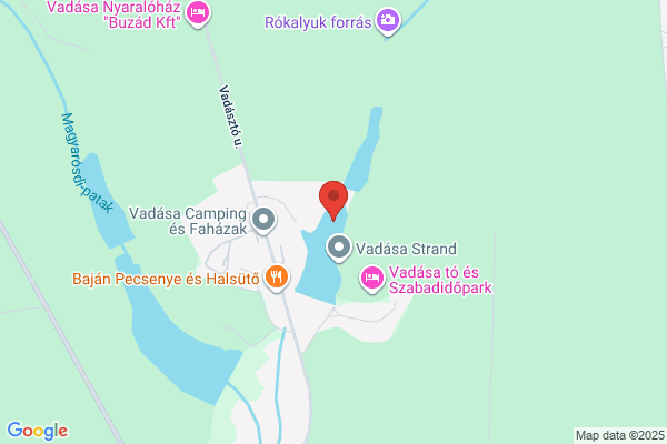 Vadasa