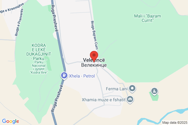 Veleizan Co