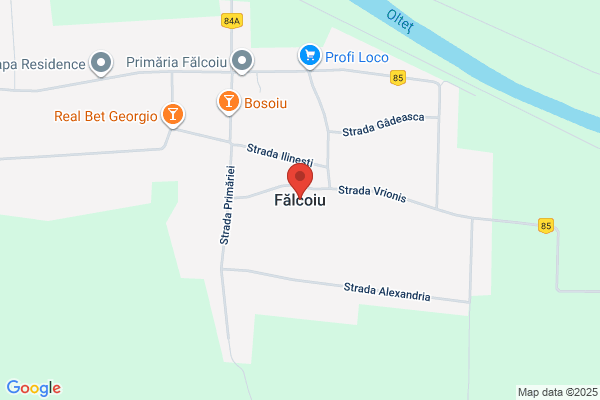 Faluotico
