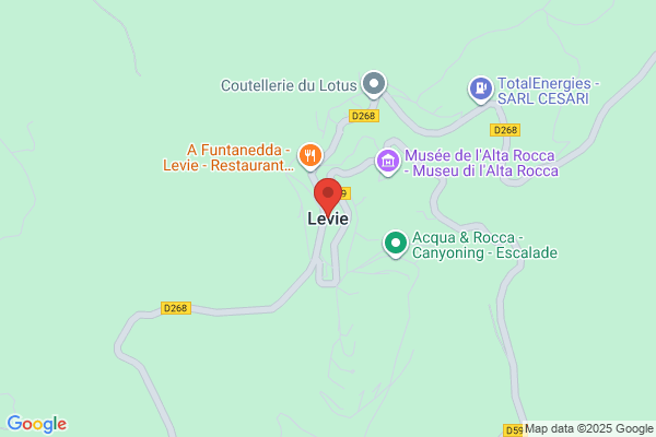 De Levie Srl