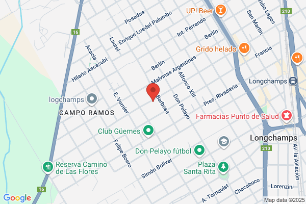 Luis Pintini E Hijos S.R.L.