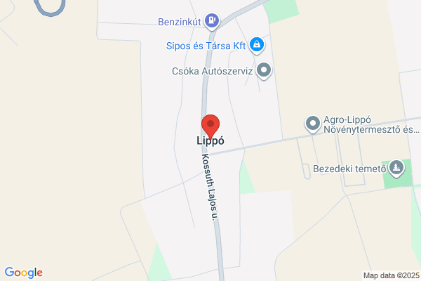 Lippo, Daniel H