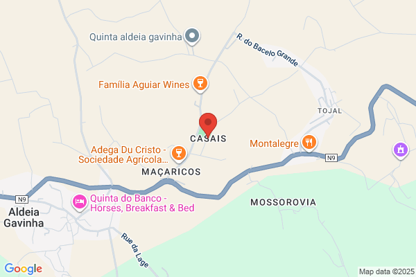 Casais Emilio