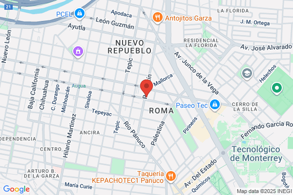 Prisma Consultores Srl