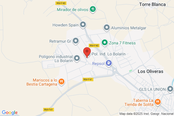 Grupo Multiser