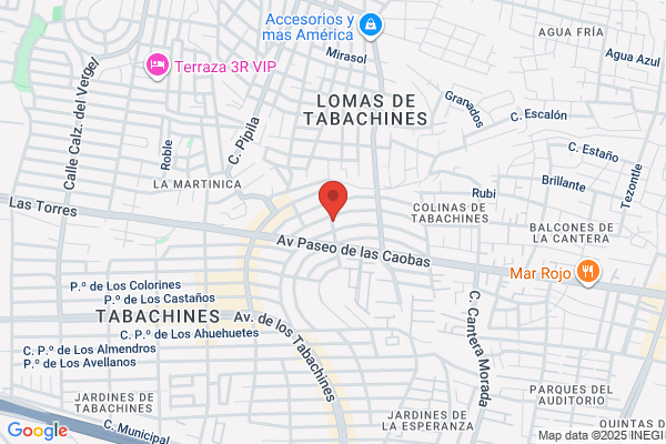 C. B. Fumigaciones
