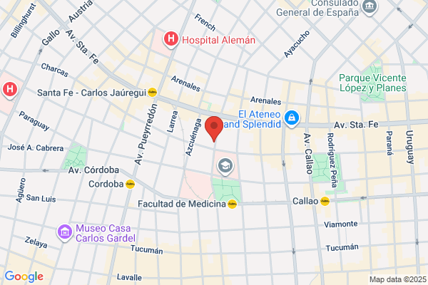 Buenos Aires Zoom