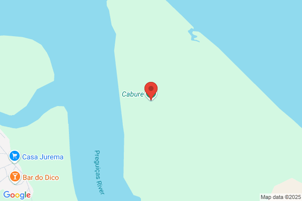 Cabure