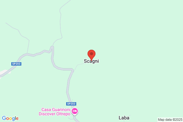 Scagni E Hijos Virginio
