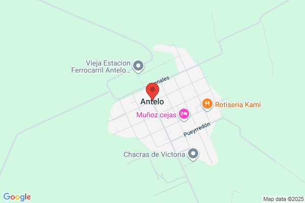 Antelo, Gustavo