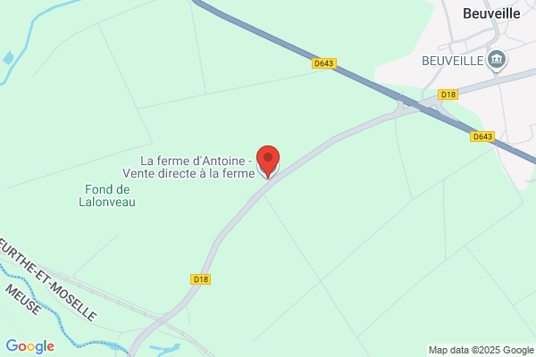 Ferme Antonio Y Asociados Srl