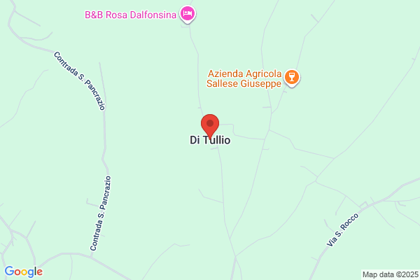 Ditulio