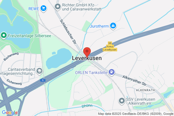 Lev-Vicen