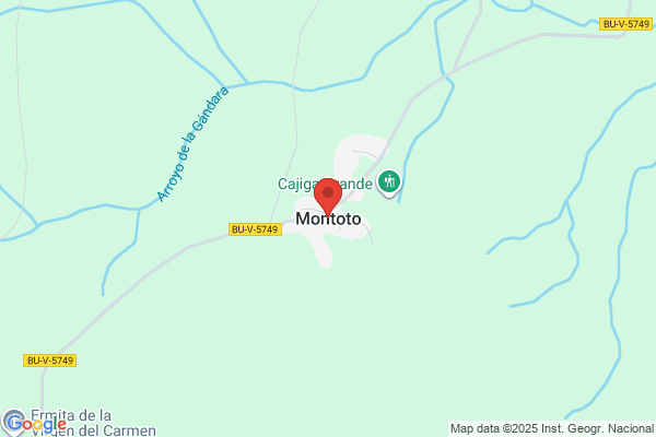 Marcelo M Montoto